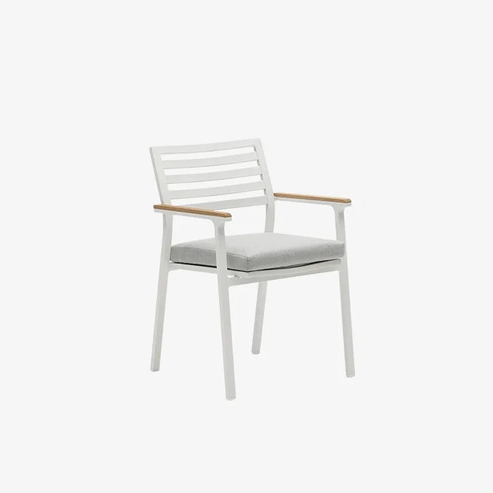 Sedia da esterno in metallo, braccioli da patio e cuscini di seduta, sedie da pranzo da esterno 1