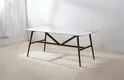 MIGLIO 5792 Wholesale Table Indoor Set Wholesale Table Manufacturers 3