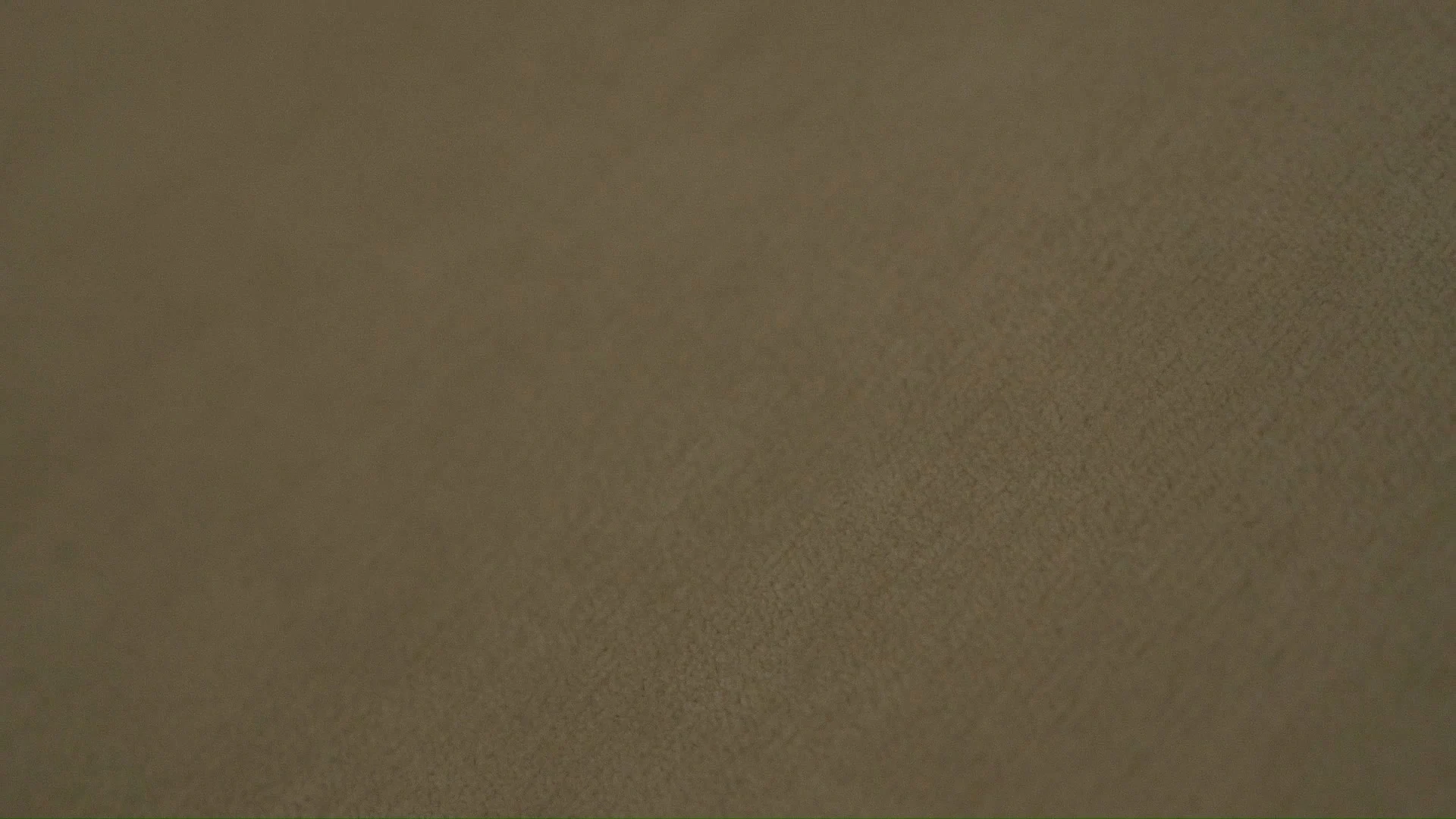 Agile White Fabric Sleeper Single Sofa Chair M156B 1